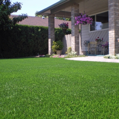 Artificial Grass Carpet Westmont, California Landscape Photos, Landscaping Ideas For Front Yard