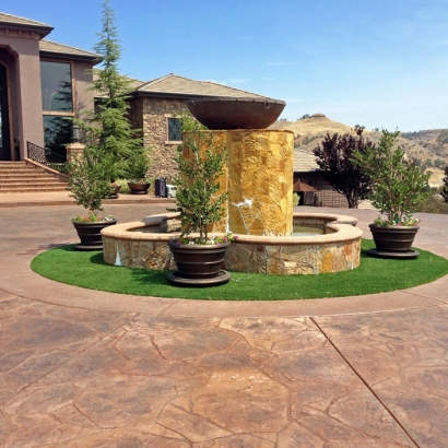 Artificial Grass Frazier Park, California Backyard Playground, Landscaping Ideas For Front Yard