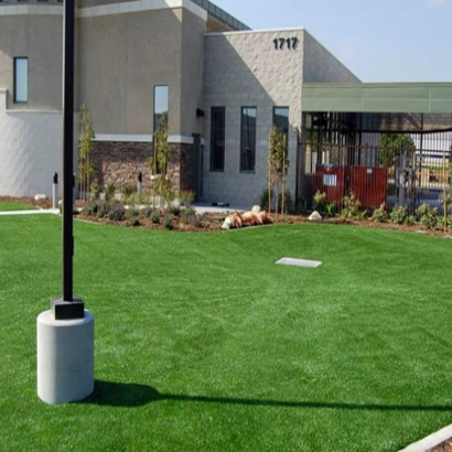 Artificial Grass Garnet, California Landscape Design, Commercial Landscape