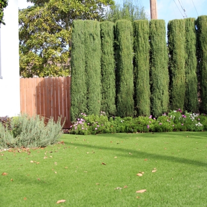 Artificial Grass Installation Compton, California Design Ideas, Front Yard Landscape Ideas