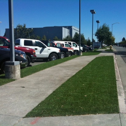 Artificial Grass , Roof Top, Commercial Landscape