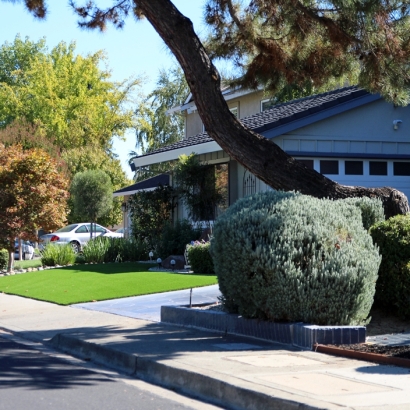 Artificial Lawn Julian, California Backyard Playground, Front Yard Ideas