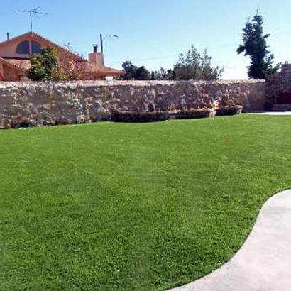 Artificial Lawn Long Beach, California Home And Garden, Beautiful Backyards