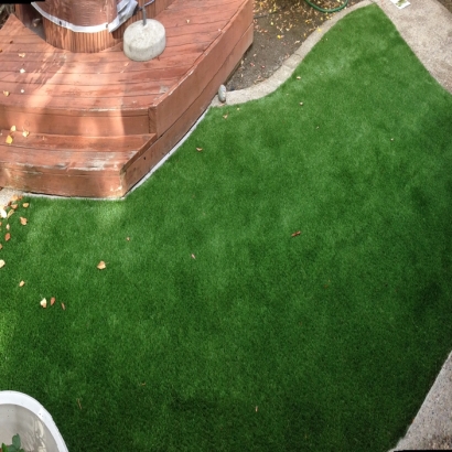 Artificial Lawn Santa Fe Springs, California City Landscape, Backyard Landscaping Ideas