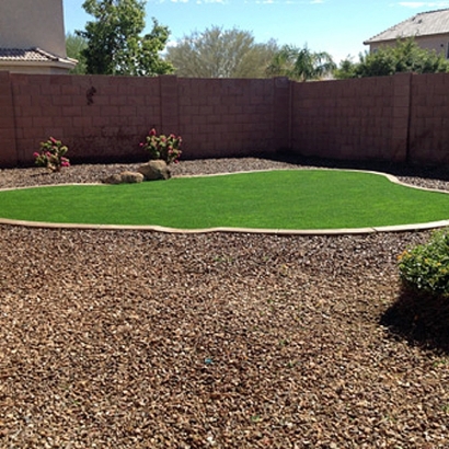 Artificial Turf Carson, California Landscape Photos, Backyard Ideas