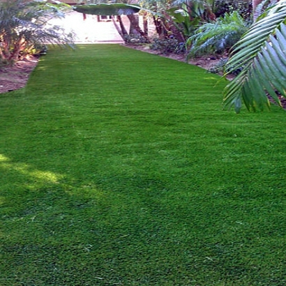 Artificial Turf Chino, California Design Ideas, Backyard Makeover