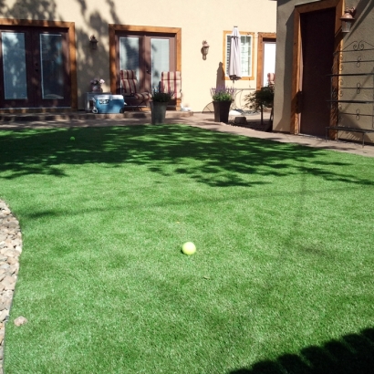 Best Artificial Grass Fallbrook, California Design Ideas, Backyard Landscape Ideas