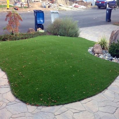 Best Artificial Grass Fountain Valley, California City Landscape