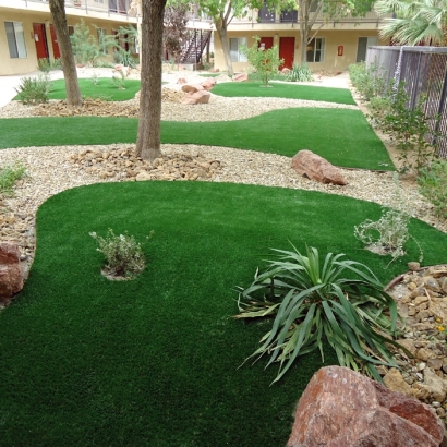 Best Artificial Grass Marina del Rey, California Lawns, Commercial Landscape