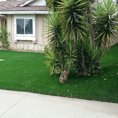 Fake Grass Carpet Casa de Oro-Mount Helix, California Backyard Playground, Front Yard Landscaping Ideas