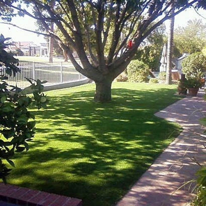 Fake Grass Carpet Highland, California Design Ideas