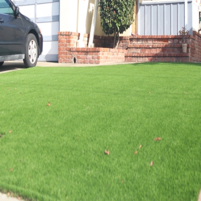 Fake Grass Carpet Industry, California Landscape Design, Front Yard Landscape Ideas