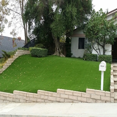 Fake Grass Carpet Lakeside, California Landscape Design, Front Yard Landscaping