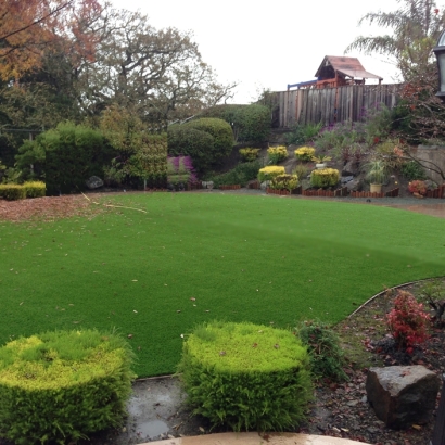 Fake Grass Oildale, California Roof Top, Backyard Design