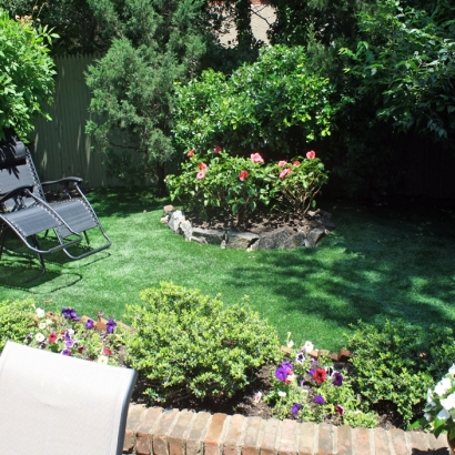 Fake Lawn Lakeview, California Roof Top, Backyard Garden Ideas