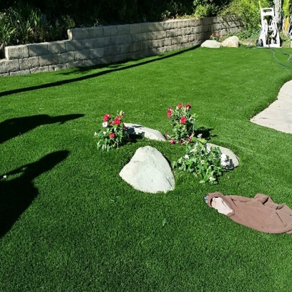 Fake Turf Coronado, California Garden Ideas, Front Yard Landscape Ideas