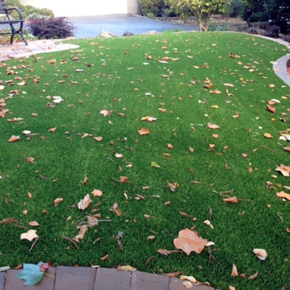 Fake Turf Tecopa, California Lawns, Landscaping Ideas For Front Yard