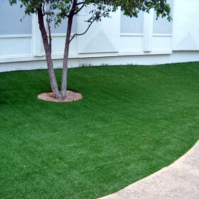 Faux Grass Calipatria, California Landscaping, Commercial Landscape