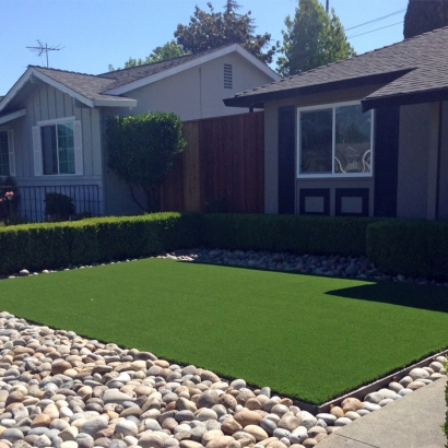 Faux Grass Newport Beach, California Landscape Ideas, Front Yard Landscaping Ideas