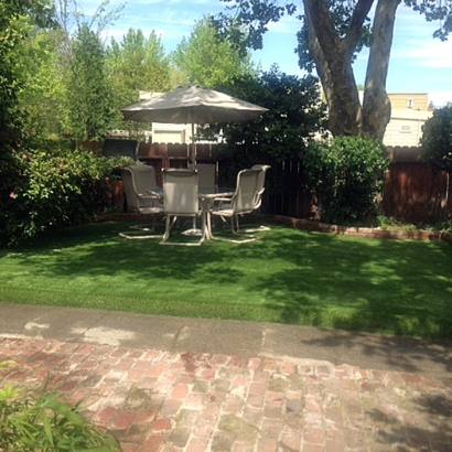 Faux Grass Sisquoc, California Garden Ideas, Backyard Ideas