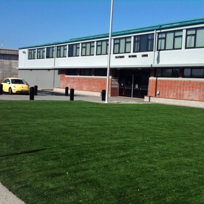 Grass Carpet , Landscaping, Commercial Landscape