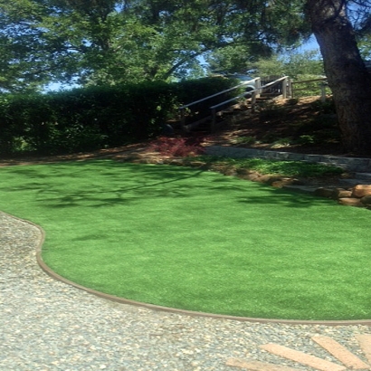 Grass Installation Los Alamos, California City Landscape, Backyard Landscaping Ideas