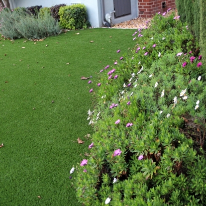 Grass Installation Mira Loma, California Lawns, Front Yard Design