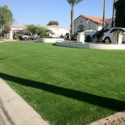 Grass Turf Downey, California City Landscape, Front Yard Landscape Ideas