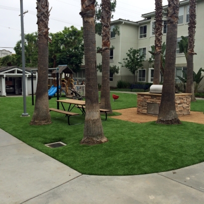 Green Lawn , Landscaping, Commercial Landscape