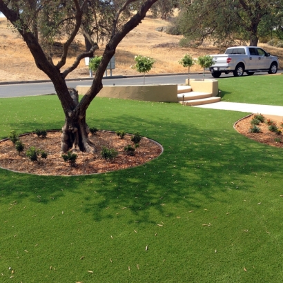 Green Lawn Las Flores, California Roof Top, Front Yard Landscape Ideas