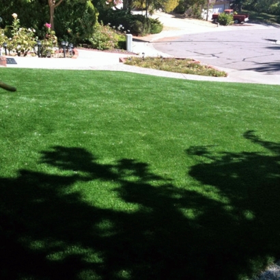 Green Lawn Ridgecrest, California Landscaping Business, Front Yard Landscaping Ideas