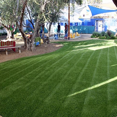 Installing Artificial Grass Leona Valley, California Garden Ideas, Commercial Landscape