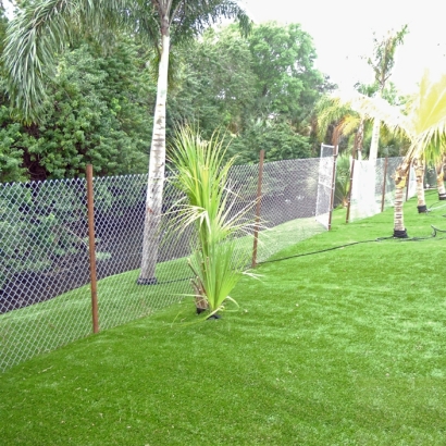 Lawn Services Hermosa Beach, California Home And Garden, Backyard Landscape Ideas