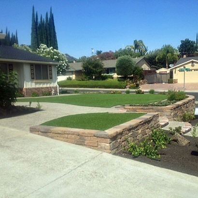 Outdoor Carpet Mountain Mesa, California Lawns, Small Front Yard Landscaping