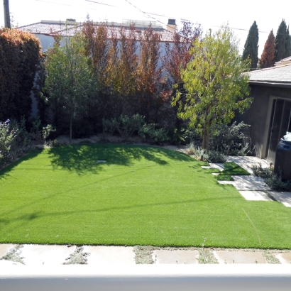 Outdoor Carpet Valley Center, California Landscaping Business, Backyard Landscape Ideas