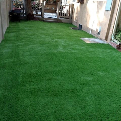 Outdoor Carpet Yorba Linda, California Landscaping Business, Backyard Landscape Ideas