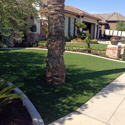 Plastic Grass Yorba Linda, California Rooftop, Front Yard Landscaping