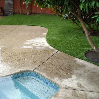 Synthetic Grass Cost Anaheim, California Home And Garden, Backyard Garden Ideas