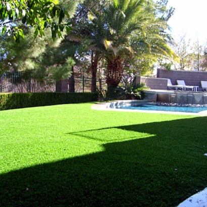 Synthetic Grass Earlimart, California Lawn And Garden, Backyard Pool