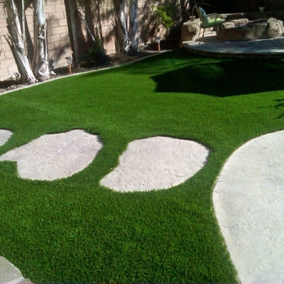 Synthetic Grass Lakewood, California Design Ideas, Backyard