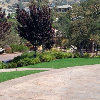 Synthetic Grass Mojave, California Landscaping Business, Front Yard Landscaping Ideas