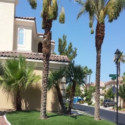 Synthetic Grass Murrieta Hot Springs, California Landscaping, Front Yard Ideas