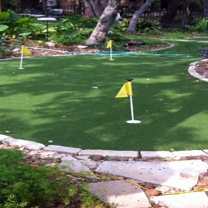 Synthetic Lawn Foothill Ranch, California Backyard Playground, Backyard