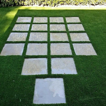 Synthetic Lawn Rancho San Diego, California Lawns, Backyard Landscaping