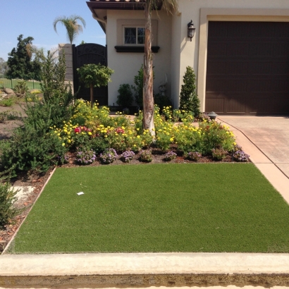 Synthetic Turf Carlsbad, California Landscaping, Small Front Yard Landscaping