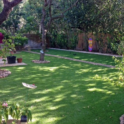 Synthetic Turf East Hemet, California Garden Ideas, Small Backyard Ideas