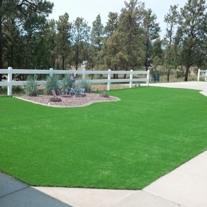 Synthetic Turf , Home And Garden, Front Yard