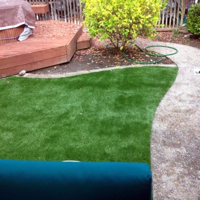 Synthetic Turf La Palma, California Backyard Deck Ideas, Backyard Design