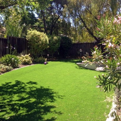 Synthetic Turf Laguna Beach, California Landscaping Business, Backyard Design