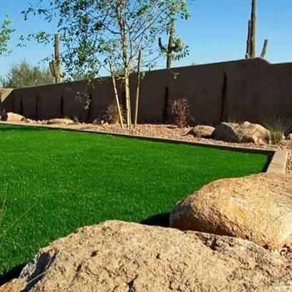 Synthetic Turf Supplier Indio Hills, California City Landscape, Backyard Makeover